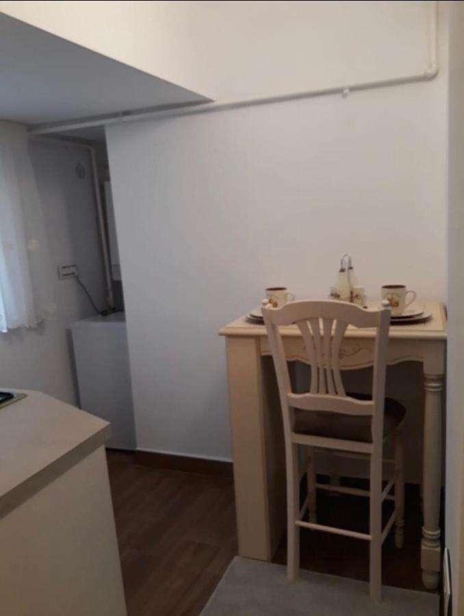 Garsoniera Lux Centru Pietonal Tirgu - Jiu Târgu Jiu Exterior foto
